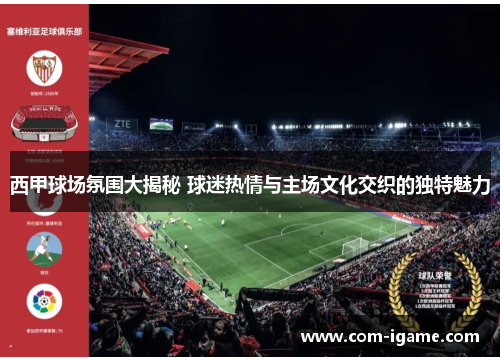 西甲球场氛围大揭秘 球迷热情与主场文化交织的独特魅力