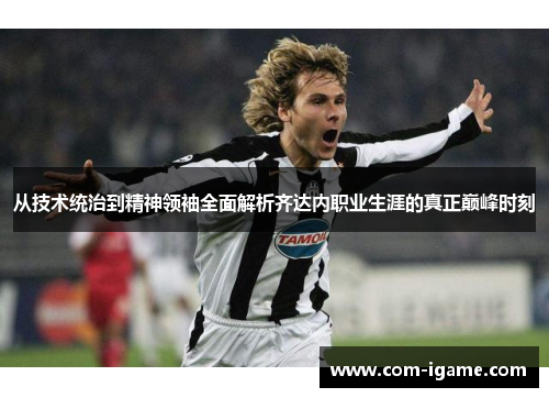 从技术统治到精神领袖全面解析齐达内职业生涯的真正巅峰时刻