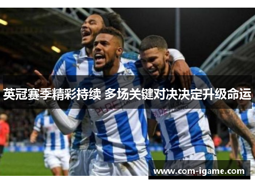 英冠赛季精彩持续 多场关键对决决定升级命运