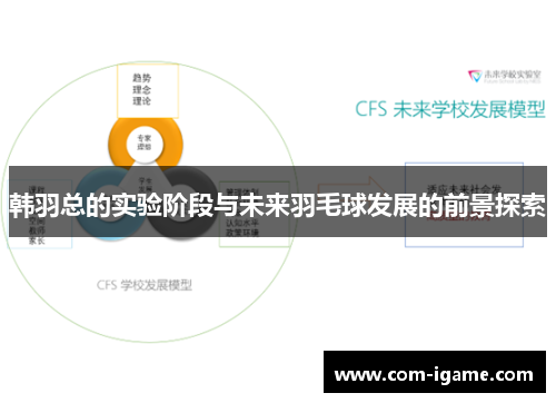 韩羽总的实验阶段与未来羽毛球发展的前景探索