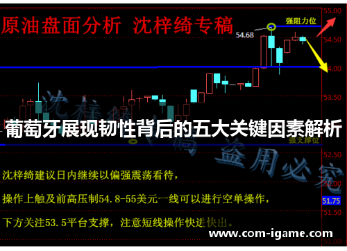 葡萄牙展现韧性背后的五大关键因素解析