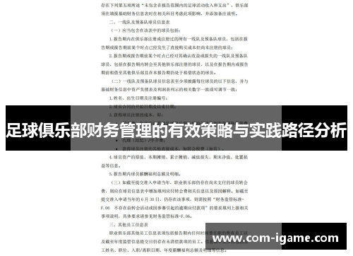 足球俱乐部财务管理的有效策略与实践路径分析