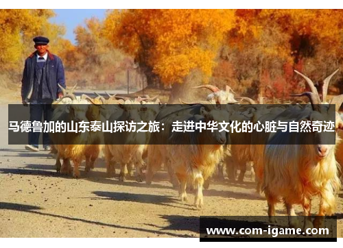 马德鲁加的山东泰山探访之旅：走进中华文化的心脏与自然奇迹