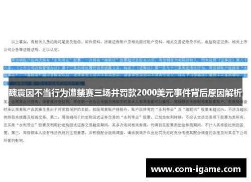 魏震因不当行为遭禁赛三场并罚款2000美元事件背后原因解析